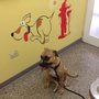 Photo of Miramar Animal Hospital