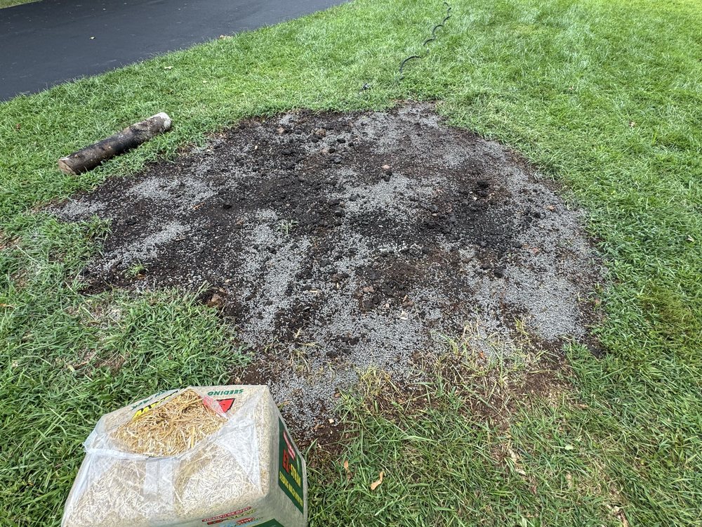 Slide of Silk City Handyman