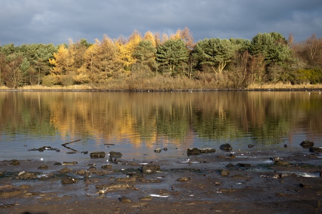 Hogganfield Loch