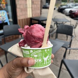 Berry berry extraordinary and lemon sorbet Berry berry extraordinary and lemon sorbet