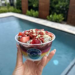 Nautical Bowls - Dinghy Big Island Bowl 10/10