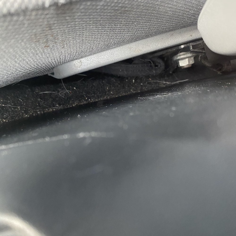 Dirty Details - Dog hair - Auto Detailing Near Me - Enterprise, Alabama