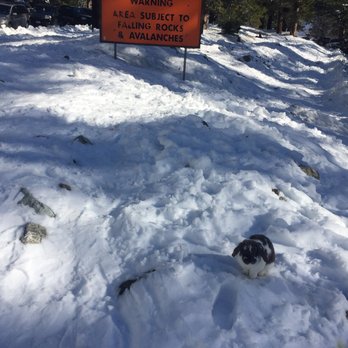 Mount Baldy - Watch for avalanches! - Hiking Near Me - Mt Baldy, California Mount Baldy - Watch for avalanches! - Hiking Near Me - Mt Baldy, California