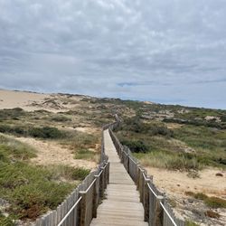 Duna da Cresmina