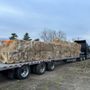 Photo of Rathe's Salvage