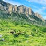 Photo of K Bar Z Guest Ranch & Outfitter