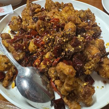 Sichuan Gourmet - Szechuan Near Me - Pittsburgh, Pennsylvania