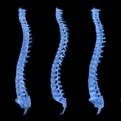 Klein Family Chiropractic