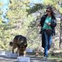 Photo of Live Love Dog Training