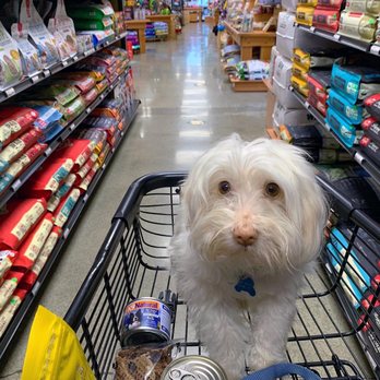 Mud Bay - Yogii shopping for his food to try - Pet Stores Near Me - Renton, Washington Mud Bay - Yogii shopping for his food to try - Pet Stores Near Me - Renton, Washington