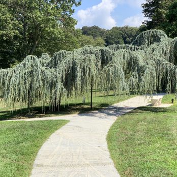 Lyndhurst - Love this tree! Beautiful - Museums Near Me - Tarrytown, New York