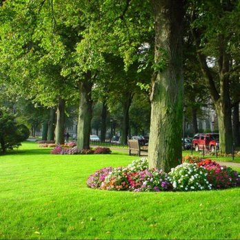 On-Site Maintenance & Repairs - Photo - Gardeners Near Me - Kitchener, Ontario On-Site Maintenance & Repairs - Photo - Gardeners Near Me - Kitchener, Ontario