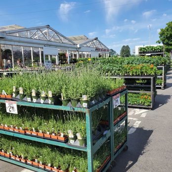 Carpinito Brothers - Nurseries & Gardening Near Me - Kent, Washington