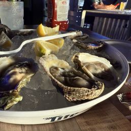 Raw Oyster! Raw Oyster!
