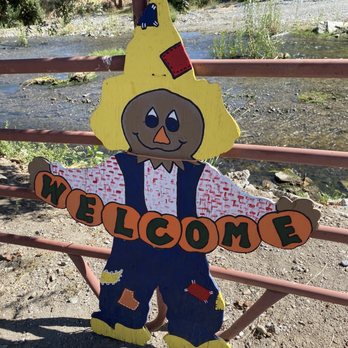Joan's Farm & Pumpkin Patch - Pumpkin Patches Near Me - Livermore, California Joan's Farm & Pumpkin Patch - Pumpkin Patches Near Me - Livermore, California