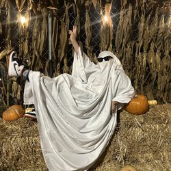 Pumpkins