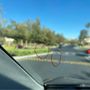 Photo of Sunshade Window Tint