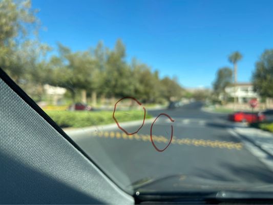 Sunshade Window Tint