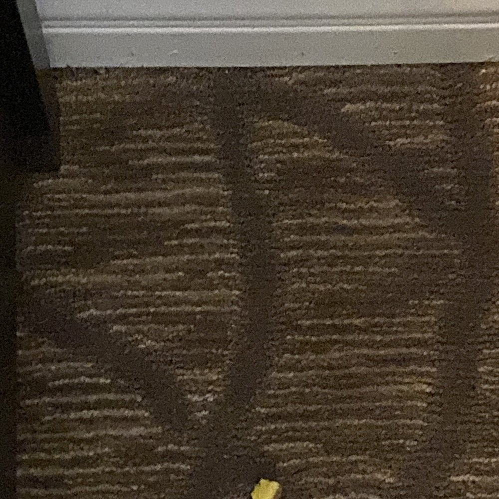 Quality Inn Downey - Hotels Near Me - Downey, California Quality Inn Downey - Hotels Near Me - Downey, California