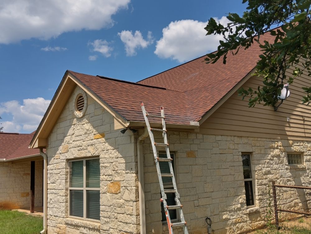 Slide of The Roof Goose