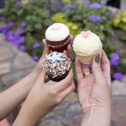 Kara's Cupcakes