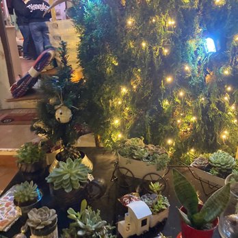 123 Farm - Succulents on sale - Farmers Market Near Me - Cherry Valley, California 123 Farm - Succulents on sale - Farmers Market Near Me - Cherry Valley, California