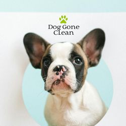 Dog Gone Clean