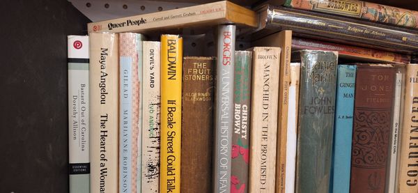 Molly's Books & Records by null