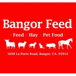 Bangor Feed - We're here for your critters!