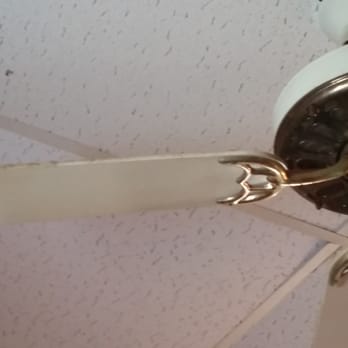 La Fiesta Restaurant - Disgusting dirty fan. - Mexican Near Me - Gretna, Louisiana La Fiesta Restaurant - Disgusting dirty fan. - Mexican Near Me - Gretna, Louisiana