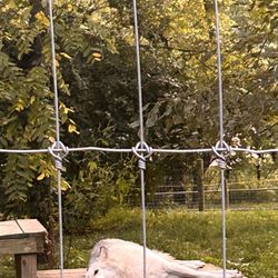 The Wolf Sanctuary of PA - One of the rescued wolves
