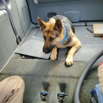 Shepherd Animal Hospital - Lost gsd, she's a good girl, she was trying to herd the black terrier to safety. - Veterinarians Near Me - Duluth, Georgia Shepherd Animal Hospital - Lost gsd, she's a good girl, she was trying to herd the black terrier to safety. - Veterinarians Near Me - Duluth, Georgia