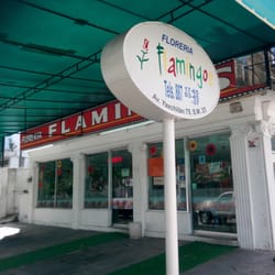 Florería Flamingos - Fachada y área de estacionamiento