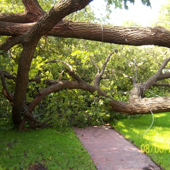 Preservation Tree Services - Prune now before storm season to help avoid scenes like this one. This is NOT how you want to make the 6 o'clock news! - Tree Services Near Me - Dallas, Texas Preservation Tree Services - Prune now before storm season to help avoid scenes like this one. This is NOT how you want to make the 6 o'clock news! - Tree Services Near Me - Dallas, Texas