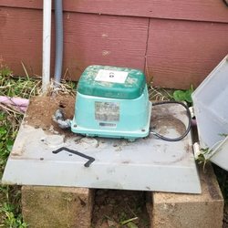 Green Septic - Old doghouse on blocks and covered in ants