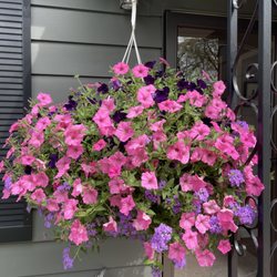 Christians Greenhouse & Garden Center - The gigantic flower baskets. Picture doesn't do its justices.