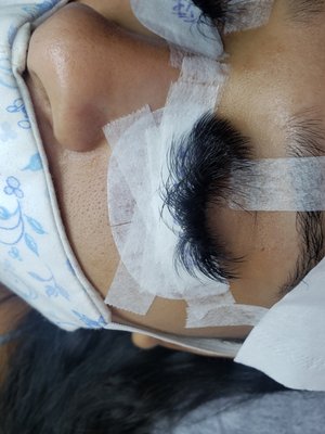 Virtue Lash by null