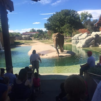 Denver Zoo - elephant show! - Zoos Near Me - Denver, Colorado