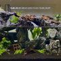 Photo of Centreville Aquarium
