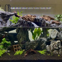 Centreville Aquarium - Healthy active fish