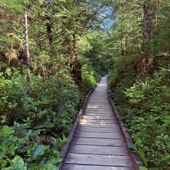 Quinault Rain Forest - Parks Near Me - Amanda Park, Washington Quinault Rain Forest - Parks Near Me - Amanda Park, Washington