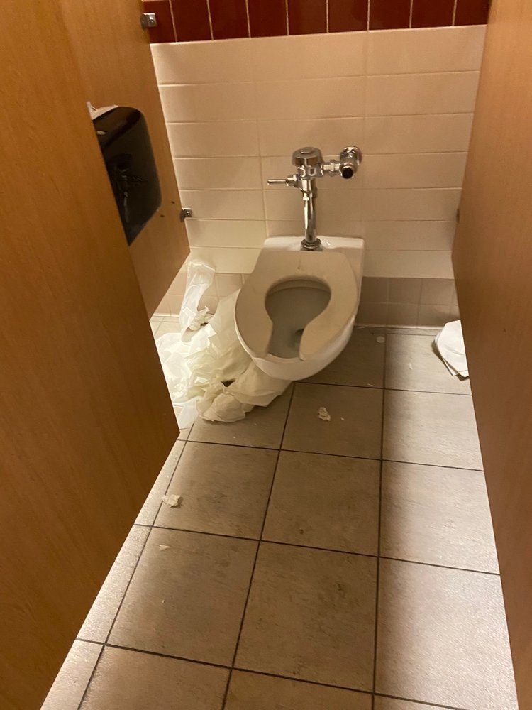 Do people not know that toilet paper flushes? And toilet seat covers