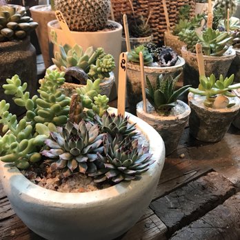 Seed To Stem - Antiques Near Me - Worcester, Massachusetts