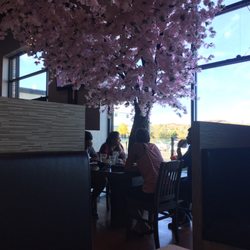 Oh Sushi Mura - Sakura tree inside.