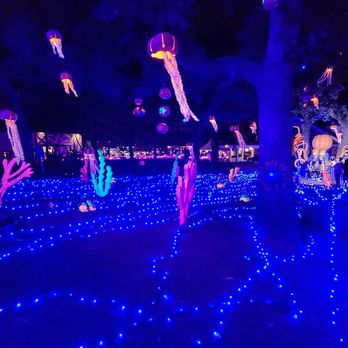 Pumpkin Nights - pumpkin nights - Festivals Near Me - Arlington, Texas Pumpkin Nights - pumpkin nights - Festivals Near Me - Arlington, Texas