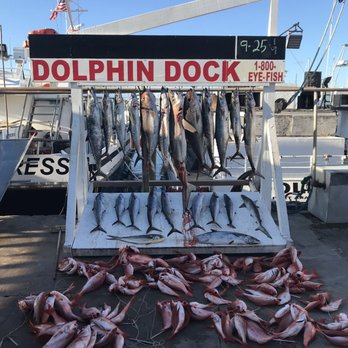 Dolphin Dock - Fishing Near Me - Port Aransas, Texas Dolphin Dock - Fishing Near Me - Port Aransas, Texas