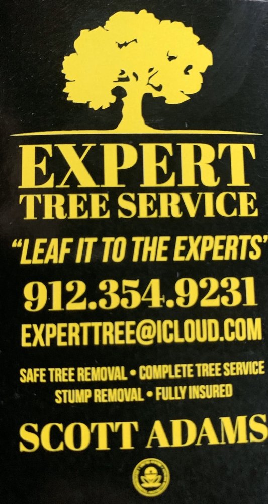 Expert Tree Service - tree service in Savannah, GA
