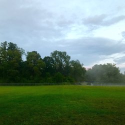 William Grace Dog Park - The lawn is mostly green and well maintained. The chain link fencing around the perimeter is quite tall.