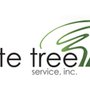 Photo of Elite Tree Service