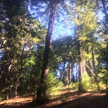Ventana Campground - Campgrounds Near Me - Big Sur, California Ventana Campground - Campgrounds Near Me - Big Sur, California